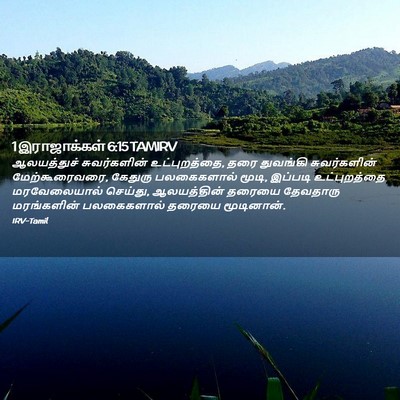 Picture 02 - 1 இராஜாக்கள் 6:15 TAMIRV - ஆலயத்துச் - Bible Verse Picture