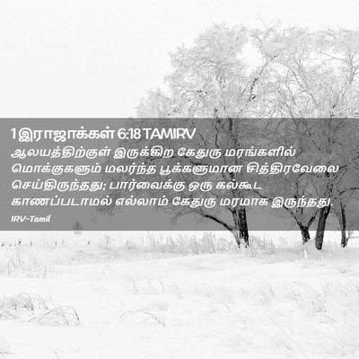 Picture 02 - 1 இராஜாக்கள் 6:18 TAMIRV - ஆலயத்திற்குள் - Bible Verse Picture