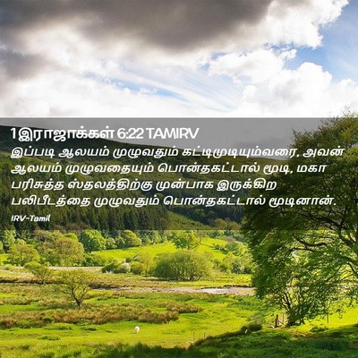 Picture 02 - 1 இராஜாக்கள் 6:22 TAMIRV - இப்படி ஆலயம் - Bible Verse Picture