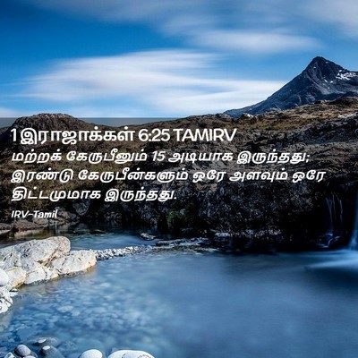 Picture 02 - 1 இராஜாக்கள் 6:25 TAMIRV - மற்றக் கேருபீனும் - Bible Verse Picture