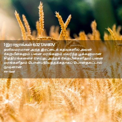 Picture 02 - 1 இராஜாக்கள் 6:32 TAMIRV - ஒலிவமரமான அந்த - Bible Verse Picture