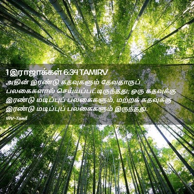 Picture 02 - 1 இராஜாக்கள் 6:34 TAMIRV - அதின் இரண்டு - Bible Verse Picture