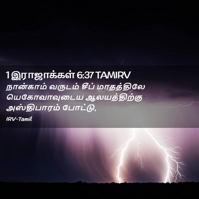 Picture 02 - 1 இராஜாக்கள் 6:37 TAMIRV - நான்காம் வருடம் - Bible Verse Picture
