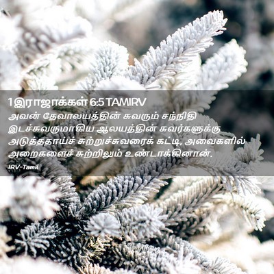 Picture 02 - 1 இராஜாக்கள் 6:5 TAMIRV - அவன் தேவாலயத்தின் - Bible Verse Picture