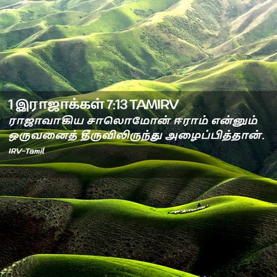 Picture 02 - 1 இராஜாக்கள் 7:13 TAMIRV - ராஜாவாகிய - Bible Verse Picture