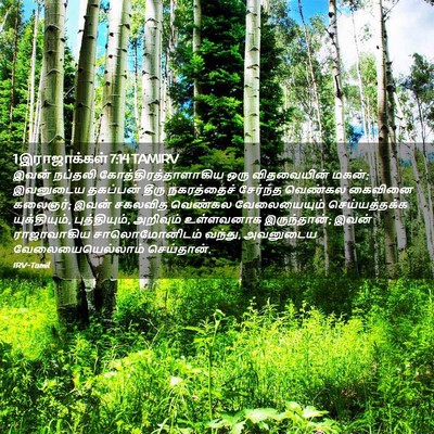 Picture 02 - 1 இராஜாக்கள் 7:14 TAMIRV - இவன் நப்தலி - Bible Verse Picture