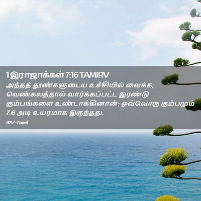 Picture 02 - 1 இராஜாக்கள் 7:16 TAMIRV - அந்தத் தூண்களுடைய - Bible Verse Picture
