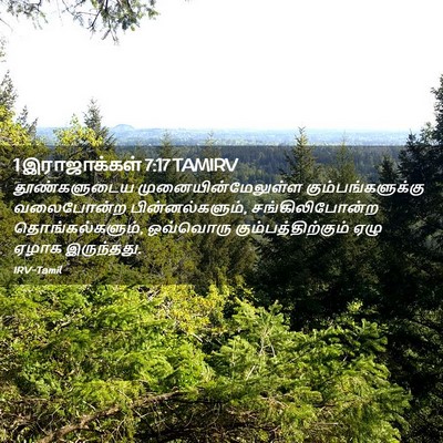 Picture 02 - 1 இராஜாக்கள் 7:17 TAMIRV - தூண்களுடைய - Bible Verse Picture