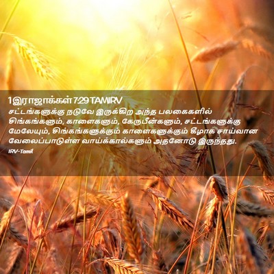 Picture 02 - 1 இராஜாக்கள் 7:29 TAMIRV - சட்டங்களுக்கு - Bible Verse Picture