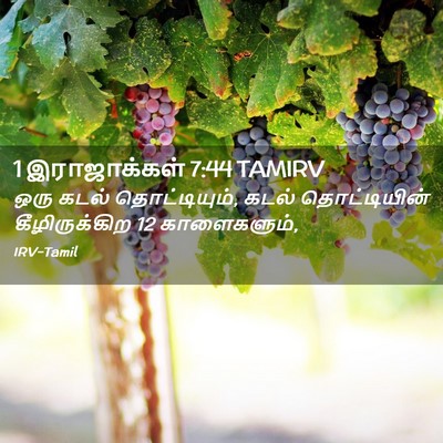 Picture 02 - 1 இராஜாக்கள் 7:44 TAMIRV - ஒரு கடல் - Bible Verse Picture