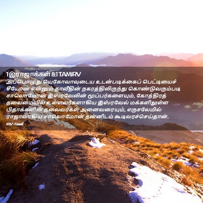 Picture 02 - 1 இராஜாக்கள் 8:1 TAMIRV - அப்பொழுது - Bible Verse Picture