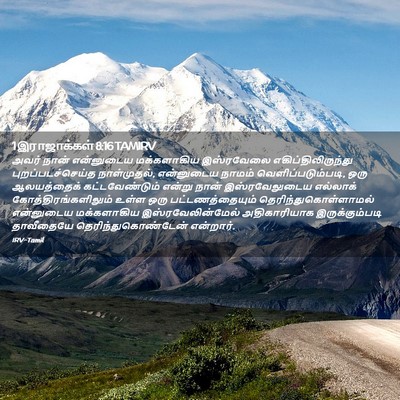 Picture 02 - 1 இராஜாக்கள் 8:16 TAMIRV - அவர் நான் - Bible Verse Picture