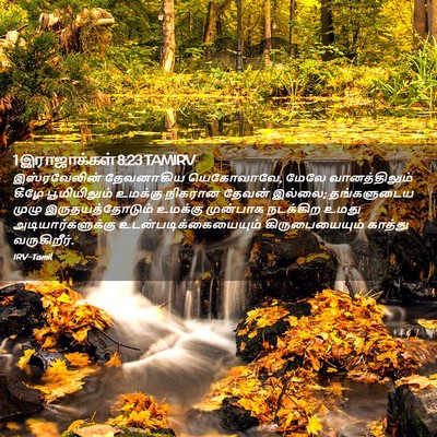 Picture 02 - 1 இராஜாக்கள் 8:23 TAMIRV - இஸ்ரவேலின் - Bible Verse Picture