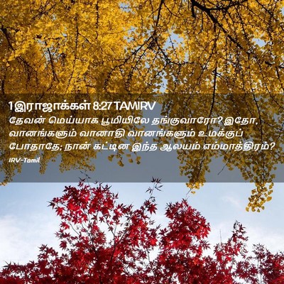 Picture 02 - 1 இராஜாக்கள் 8:27 TAMIRV - தேவன் மெய்யாக - Bible Verse Picture