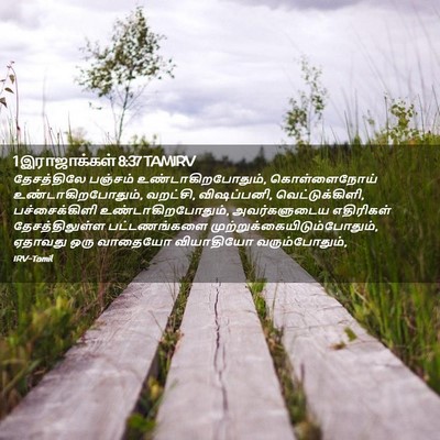 Picture 02 - 1 இராஜாக்கள் 8:37 TAMIRV - தேசத்திலே பஞ்சம் - Bible Verse Picture