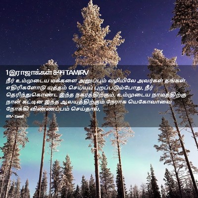 Picture 02 - 1 இராஜாக்கள் 8:44 TAMIRV - நீர் உம்முடைய - Bible Verse Picture