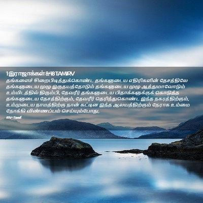 Picture 02 - 1 இராஜாக்கள் 8:48 TAMIRV - தங்களைச் - Bible Verse Picture