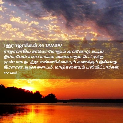 Picture 02 - 1 இராஜாக்கள் 8:5 TAMIRV - ராஜாவாகிய - Bible Verse Picture