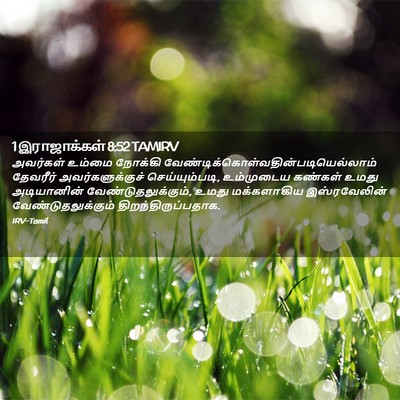 Picture 02 - 1 இராஜாக்கள் 8:52 TAMIRV - அவர்கள் உம்மை - Bible Verse Picture