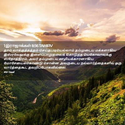 Picture 02 - 1 இராஜாக்கள் 8:56 TAMIRV - தாம் - Bible Verse Picture