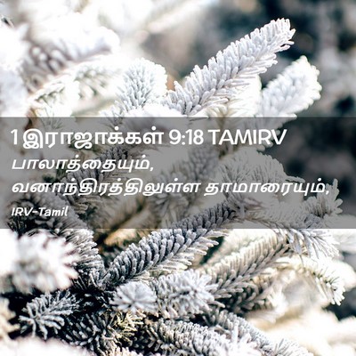 Picture 02 - 1 இராஜாக்கள் 9:18 TAMIRV - பாலாத்தையும், - Bible Verse Picture
