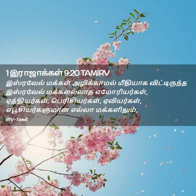 Picture 02 - 1 இராஜாக்கள் 9:20 TAMIRV - இஸ்ரவேல் மக்கள் - Bible Verse Picture