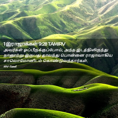 Picture 02 - 1 இராஜாக்கள் 9:28 TAMIRV - அவர்கள் - Bible Verse Picture