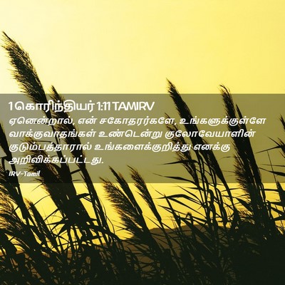 Picture 02 - 1 கொரிந்தியர் 1:11 TAMIRV - ஏனென்றால், என் - Bible Verse Picture