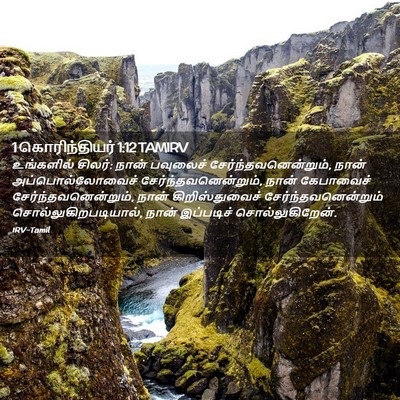 Picture 02 - 1 கொரிந்தியர் 1:12 TAMIRV - உங்களில் சிலர்: - Bible Verse Picture