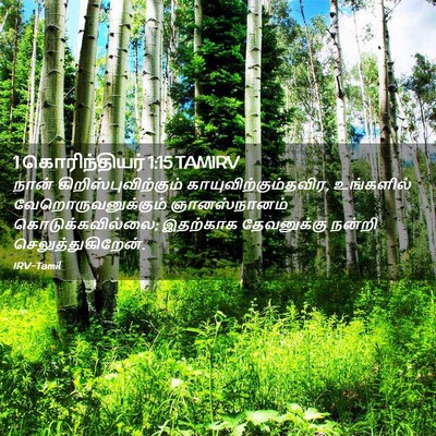 Picture 02 - 1 கொரிந்தியர் 1:15 TAMIRV - நான் - Bible Verse Picture