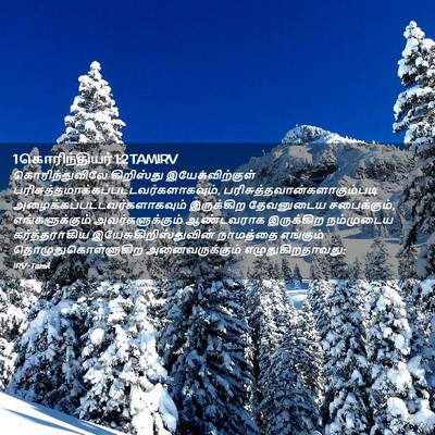 Picture 02 - 1 கொரிந்தியர் 1:2 TAMIRV - கொரிந்துவிலே - Bible Verse Picture