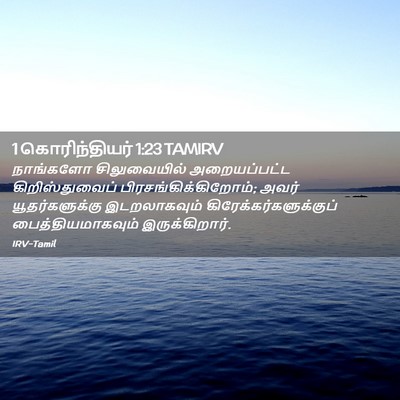 Picture 02 - 1 கொரிந்தியர் 1:23 TAMIRV - நாங்களோ - Bible Verse Picture