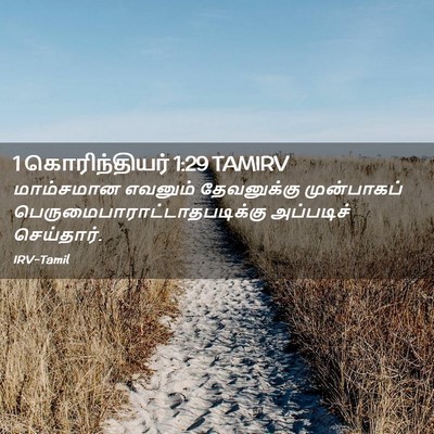 Picture 02 - 1 கொரிந்தியர் 1:29 TAMIRV - மாம்சமான எவனும் - Bible Verse Picture