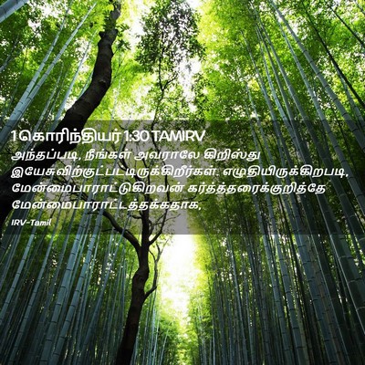 Picture 02 - 1 கொரிந்தியர் 1:30 TAMIRV - அந்தப்படி, - Bible Verse Picture