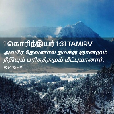 Picture 02 - 1 கொரிந்தியர் 1:31 TAMIRV - அவரே தேவனால் - Bible Verse Picture