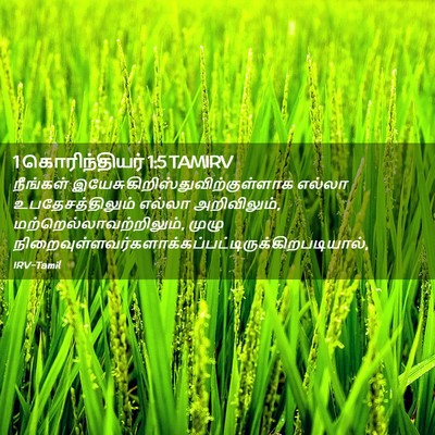 Picture 02 - 1 கொரிந்தியர் 1:5 TAMIRV - நீங்கள் - Bible Verse Picture