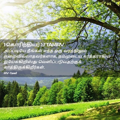 Picture 02 - 1 கொரிந்தியர் 1:7 TAMIRV - அப்படியே நீங்கள் - Bible Verse Picture