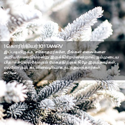 Picture 02 - 1 கொரிந்தியர் 10:1 TAMIRV - இப்படியிருக்க, - Bible Verse Picture
