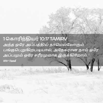 Picture 02 - 1 கொரிந்தியர் 10:17 TAMIRV - அந்த ஒரே - Bible Verse Picture