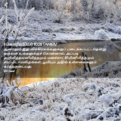 Picture 02 - 1 கொரிந்தியர் 10:28 TAMIRV - ஆனாலும் இது - Bible Verse Picture