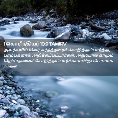 Picture 02 - 1 கொரிந்தியர் 10:9 TAMIRV - அவர்களில் சிலர் - Bible Verse Picture
