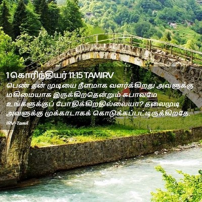 Picture 02 - 1 கொரிந்தியர் 11:15 TAMIRV - பெண் தன் முடியை - Bible Verse Picture