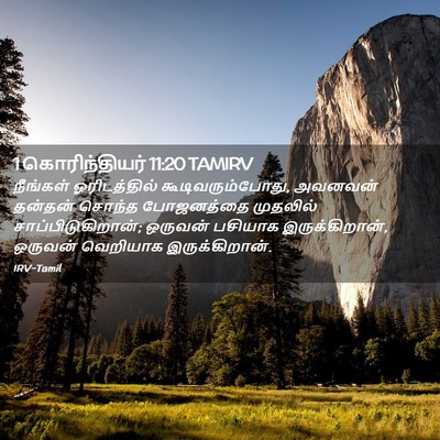 Picture 02 - 1 கொரிந்தியர் 11:20 TAMIRV - நீங்கள் - Bible Verse Picture