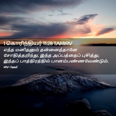 Picture 02 - 1 கொரிந்தியர் 11:28 TAMIRV - எந்த மனிதனும் - Bible Verse Picture