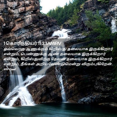 Picture 02 - 1 கொரிந்தியர் 11:3 TAMIRV - ஒவ்வொரு ஆணுக்கும் - Bible Verse Picture