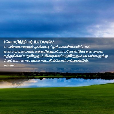 Picture 02 - 1 கொரிந்தியர் 11:6 TAMIRV - பெண்ணானவள் - Bible Verse Picture