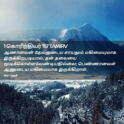 Picture 02 - 1 கொரிந்தியர் 11:7 TAMIRV - ஆணானவன் தேவனுடைய - Bible Verse Picture