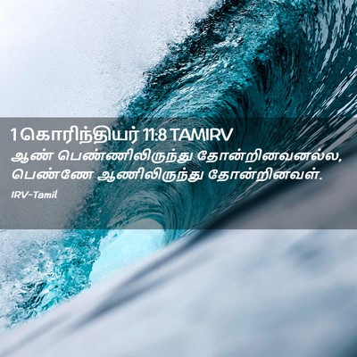 Picture 02 - 1 கொரிந்தியர் 11:8 TAMIRV - ஆண் - Bible Verse Picture
