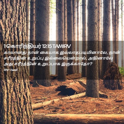 Picture 02 - 1 கொரிந்தியர் 12:15 TAMIRV - காலானது நான் - Bible Verse Picture