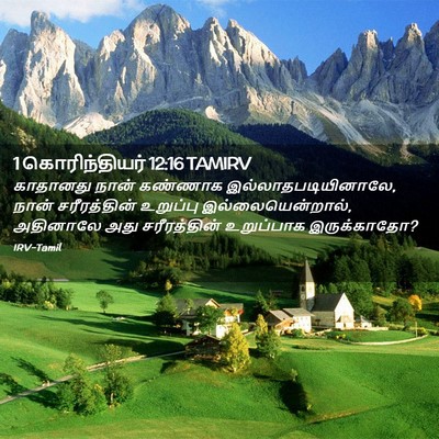 Picture 02 - 1 கொரிந்தியர் 12:16 TAMIRV - காதானது நான் - Bible Verse Picture